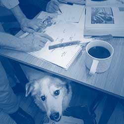 working on table with dog underneath